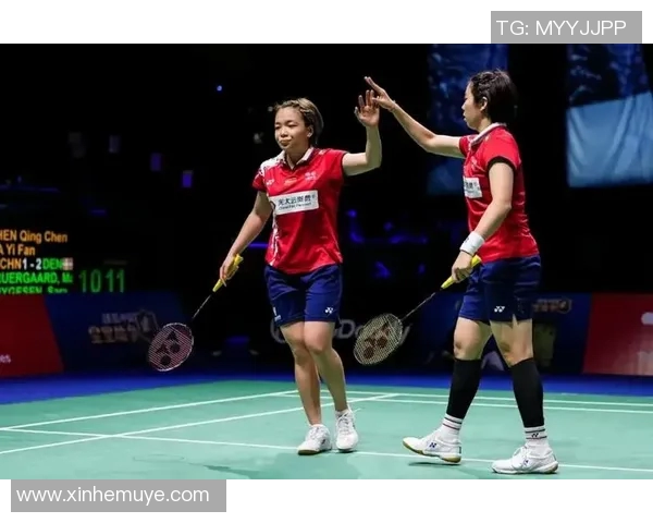 武汉羽毛球队逆袭总决赛的传奇旅程与背后故事揭秘